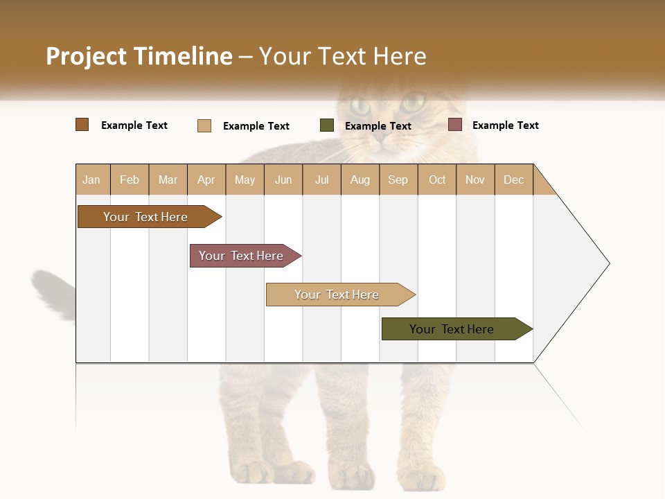 A Cat Standing On Top Of A White Surface PowerPoint Template