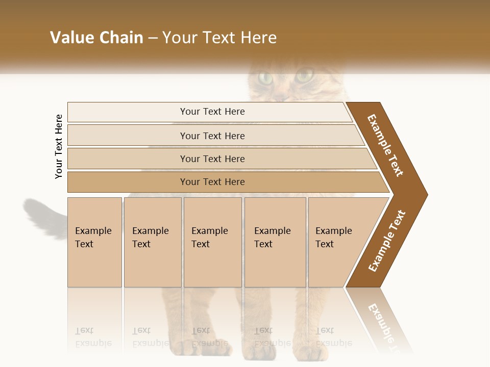 A Cat Standing On Top Of A White Surface PowerPoint Template