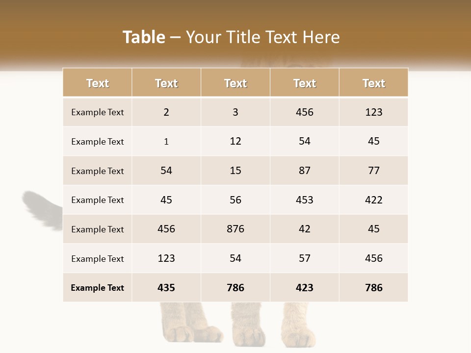 A Cat Standing On Top Of A White Surface PowerPoint Template