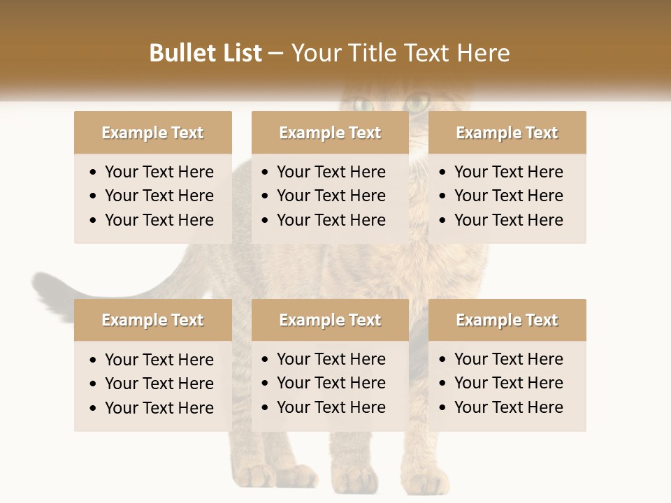 A Cat Standing On Top Of A White Surface PowerPoint Template