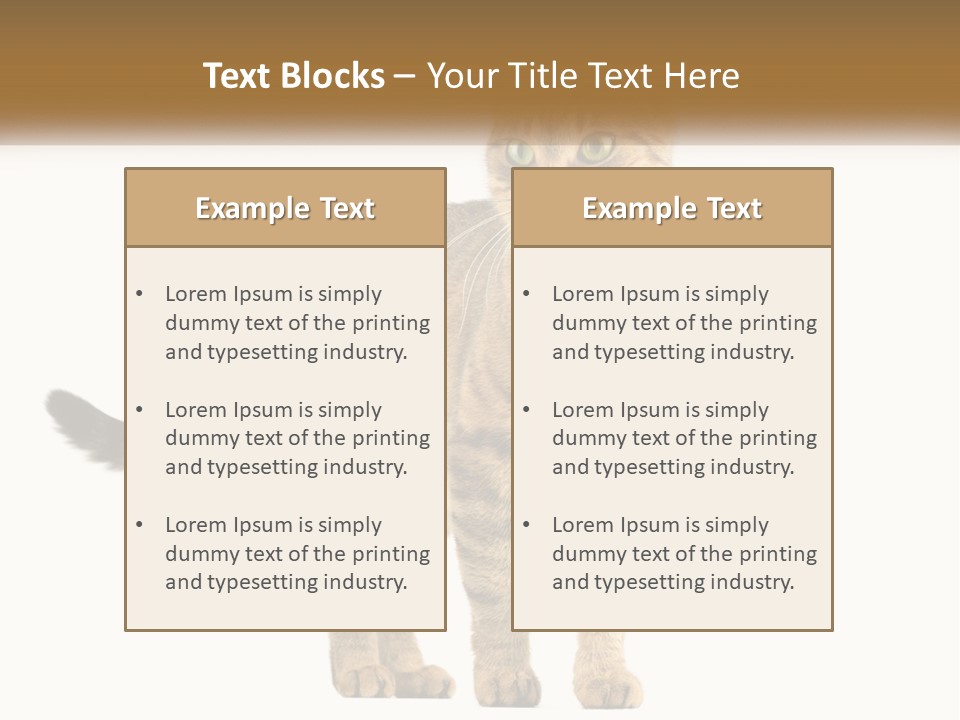 A Cat Standing On Top Of A White Surface PowerPoint Template
