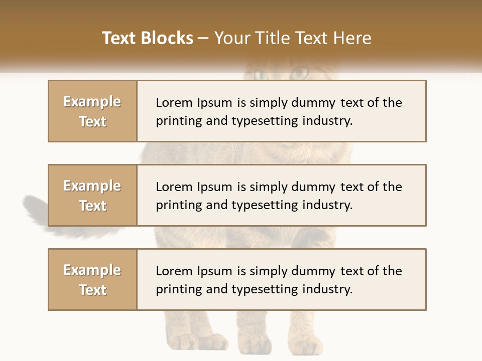 A Cat Standing On Top Of A White Surface PowerPoint Template
