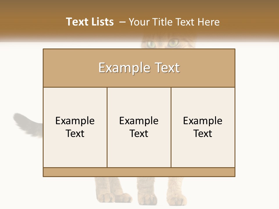 A Cat Standing On Top Of A White Surface PowerPoint Template