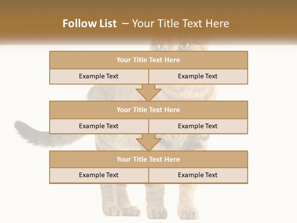 A Cat Standing On Top Of A White Surface PowerPoint Template