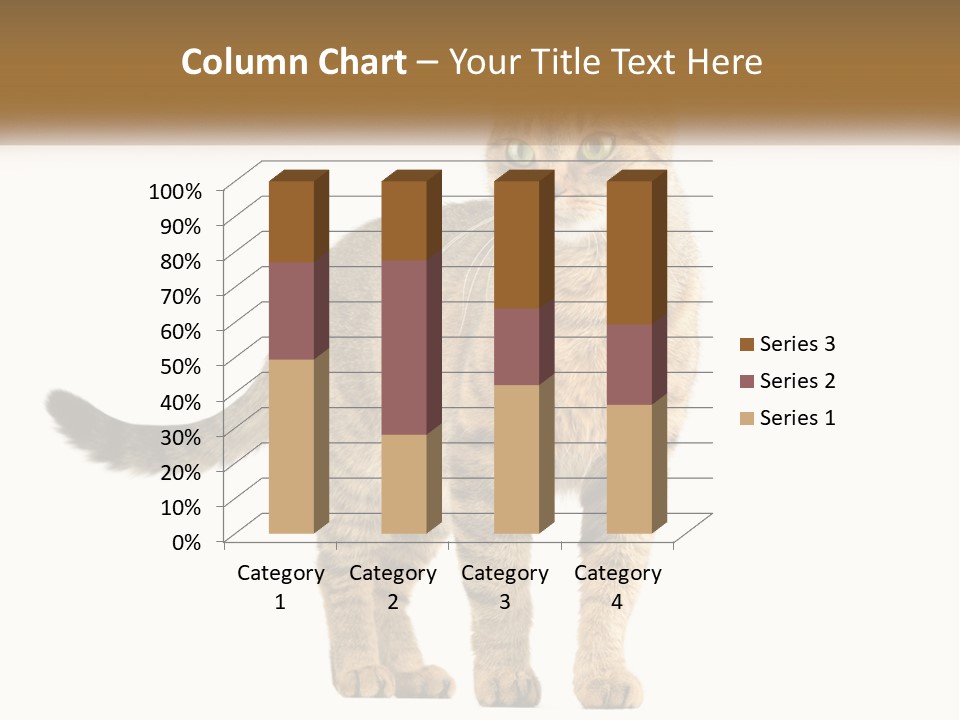 A Cat Standing On Top Of A White Surface PowerPoint Template