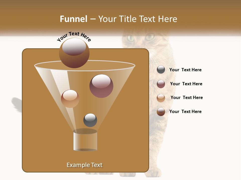 A Cat Standing On Top Of A White Surface PowerPoint Template