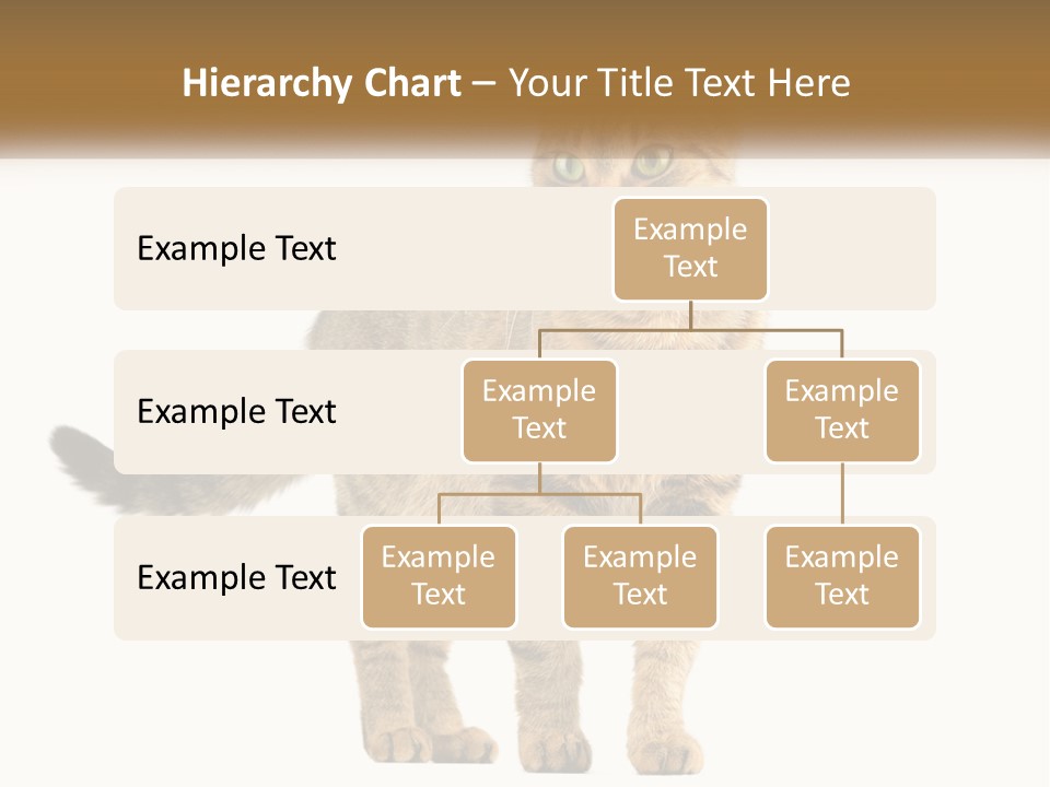 A Cat Standing On Top Of A White Surface PowerPoint Template