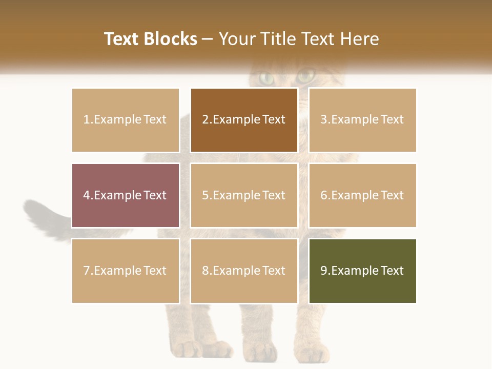 A Cat Standing On Top Of A White Surface PowerPoint Template