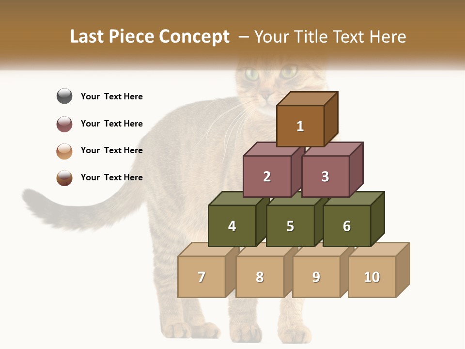 A Cat Standing On Top Of A White Surface PowerPoint Template