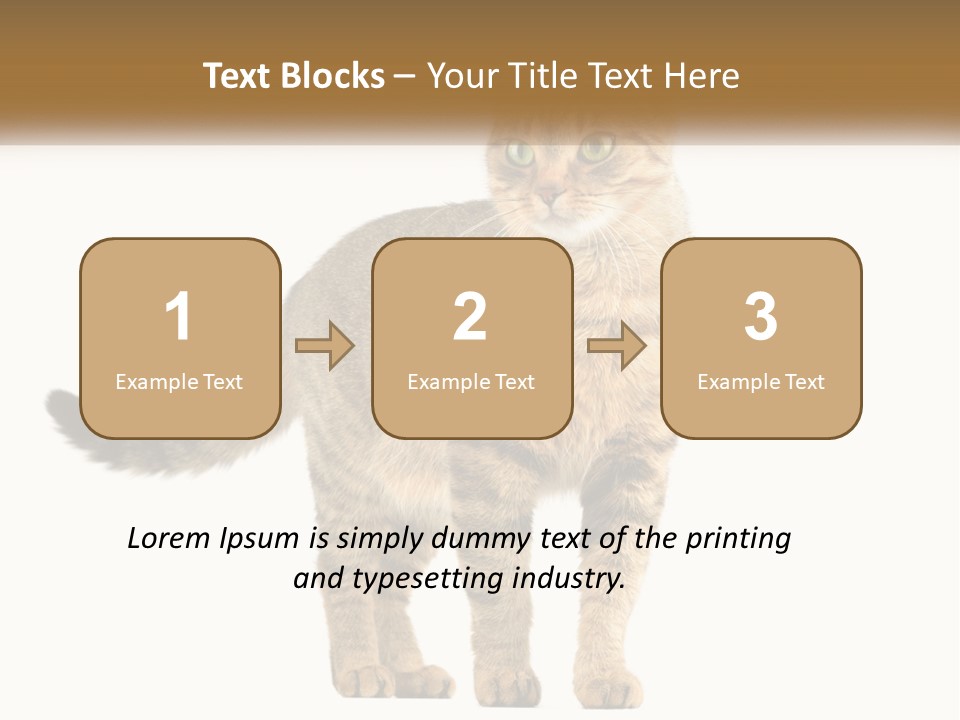 A Cat Standing On Top Of A White Surface PowerPoint Template