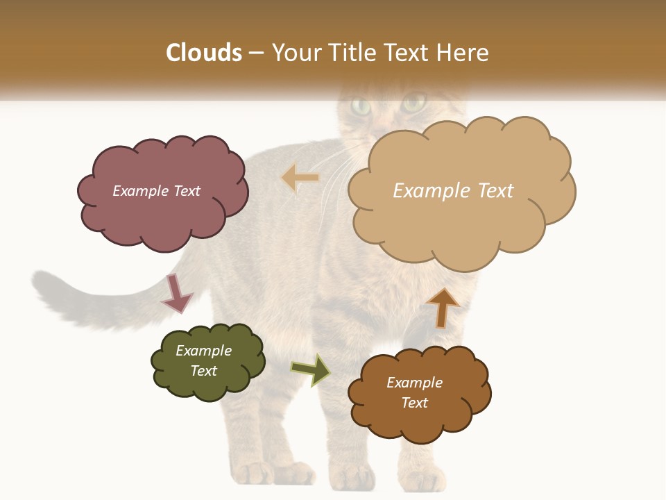 A Cat Standing On Top Of A White Surface PowerPoint Template