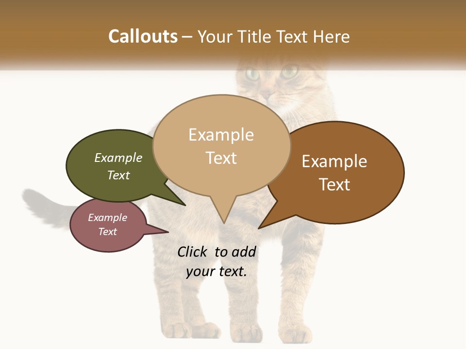 A Cat Standing On Top Of A White Surface PowerPoint Template