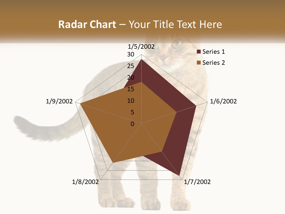 A Cat Standing On Top Of A White Surface PowerPoint Template