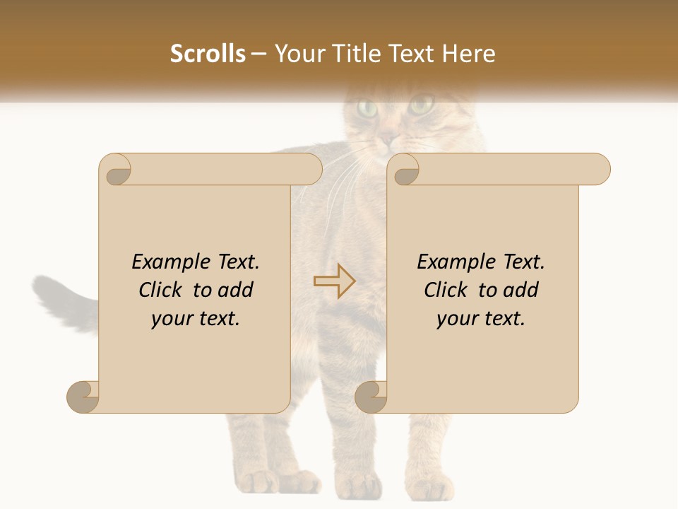 A Cat Standing On Top Of A White Surface PowerPoint Template