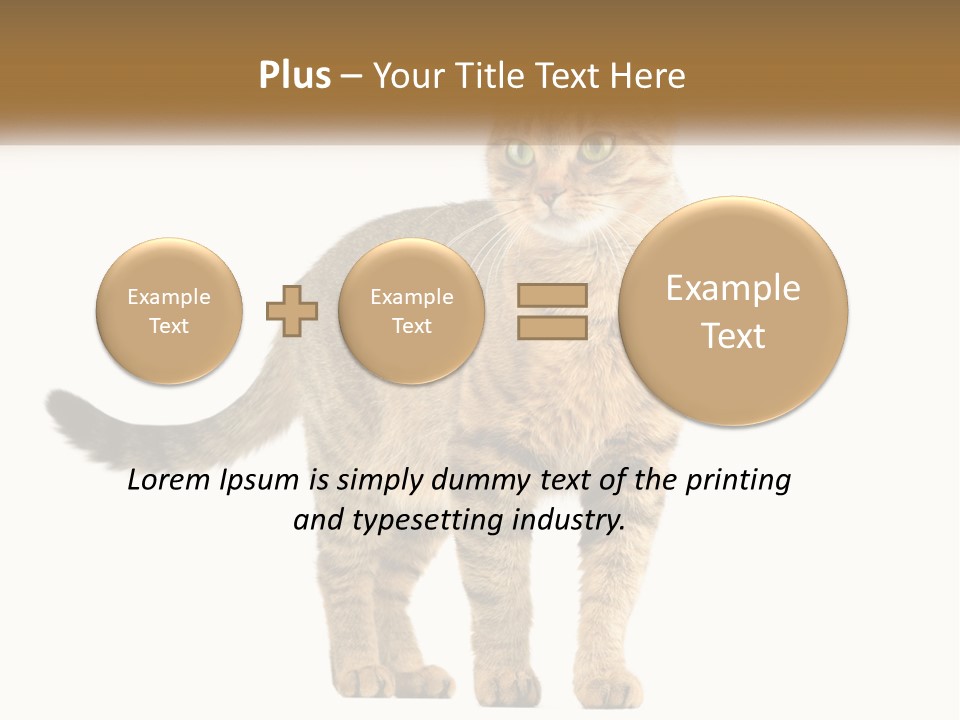A Cat Standing On Top Of A White Surface PowerPoint Template