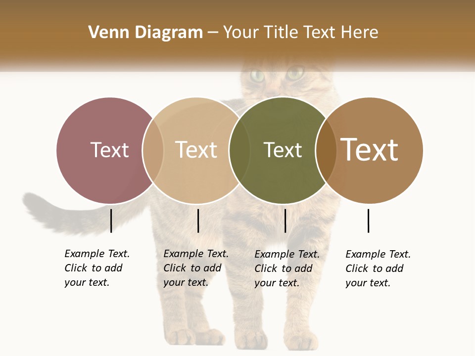 A Cat Standing On Top Of A White Surface PowerPoint Template