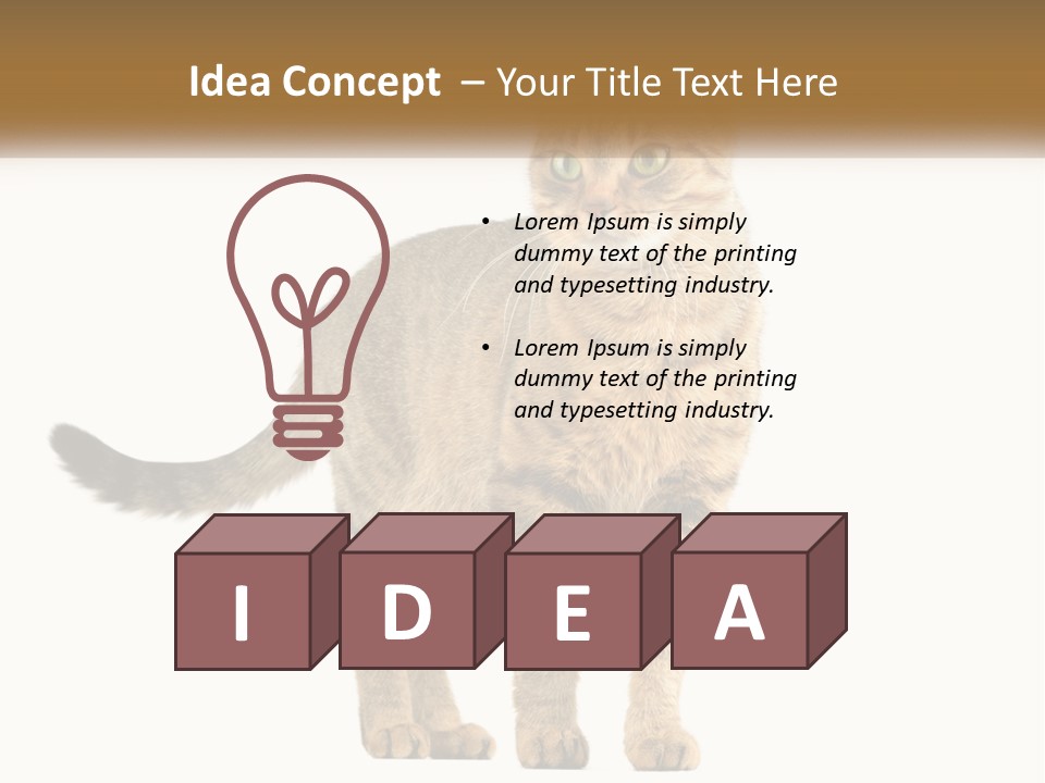 A Cat Standing On Top Of A White Surface PowerPoint Template