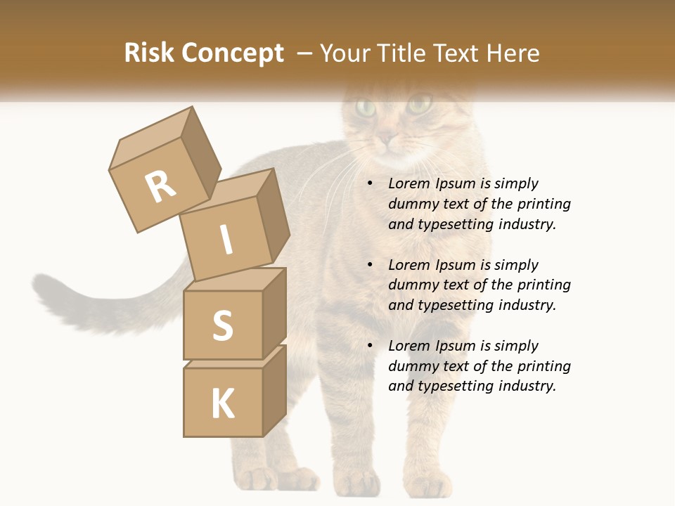 A Cat Standing On Top Of A White Surface PowerPoint Template