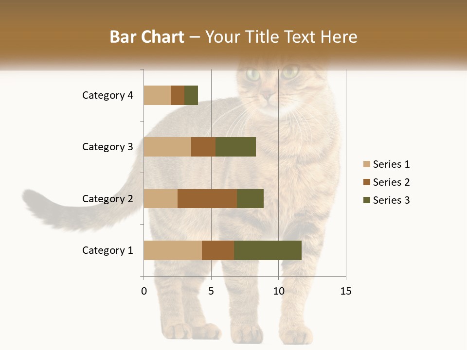 A Cat Standing On Top Of A White Surface PowerPoint Template