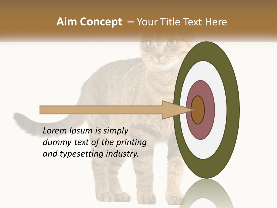 A Cat Standing On Top Of A White Surface PowerPoint Template