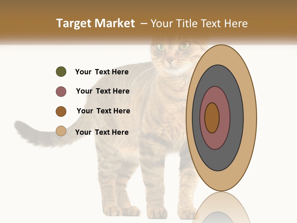 A Cat Standing On Top Of A White Surface PowerPoint Template