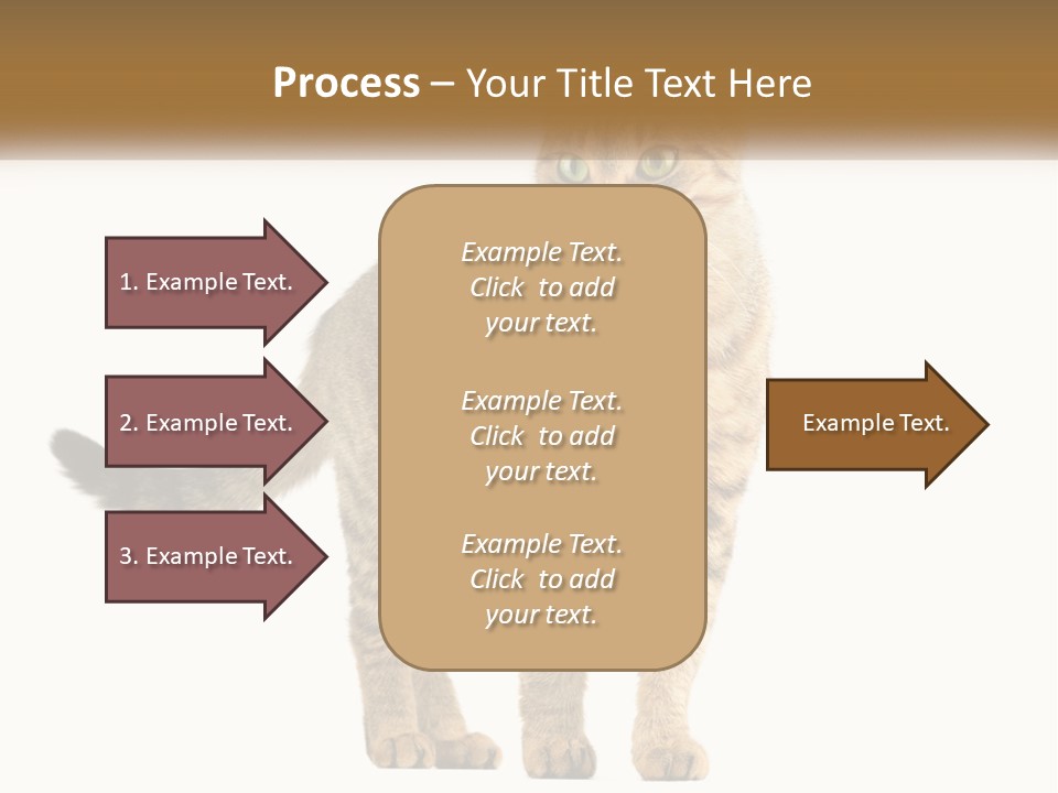 A Cat Standing On Top Of A White Surface PowerPoint Template
