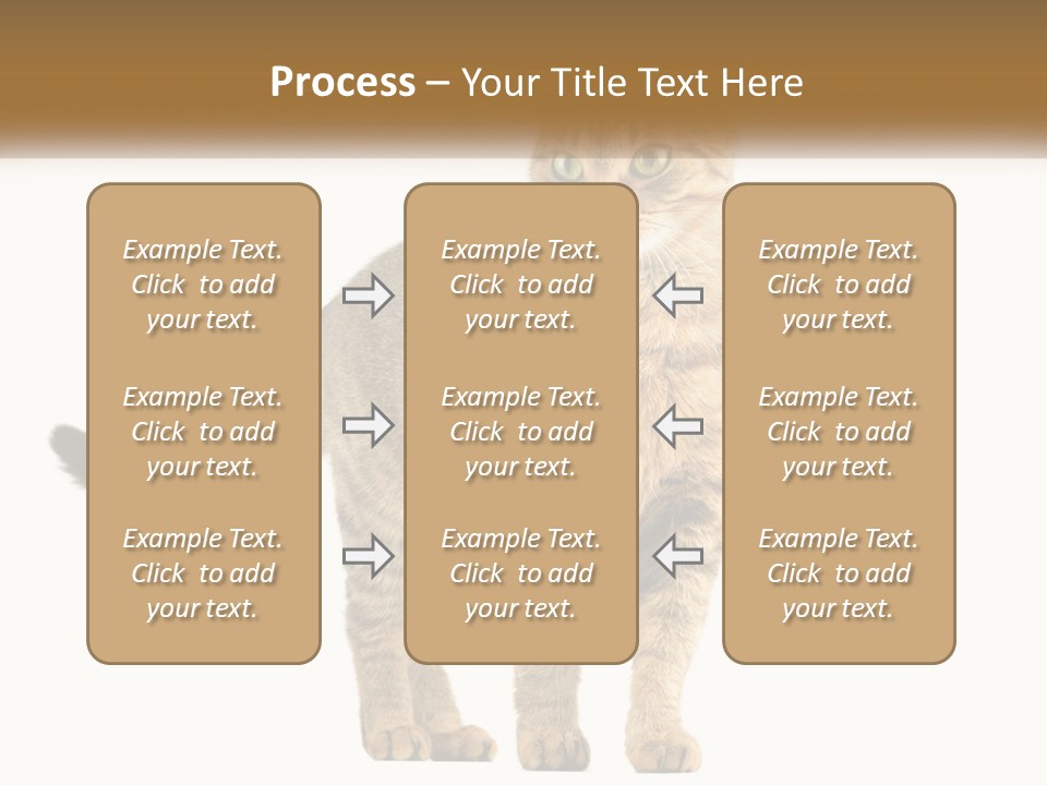 A Cat Standing On Top Of A White Surface PowerPoint Template