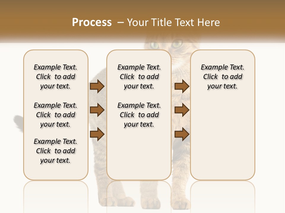 A Cat Standing On Top Of A White Surface PowerPoint Template