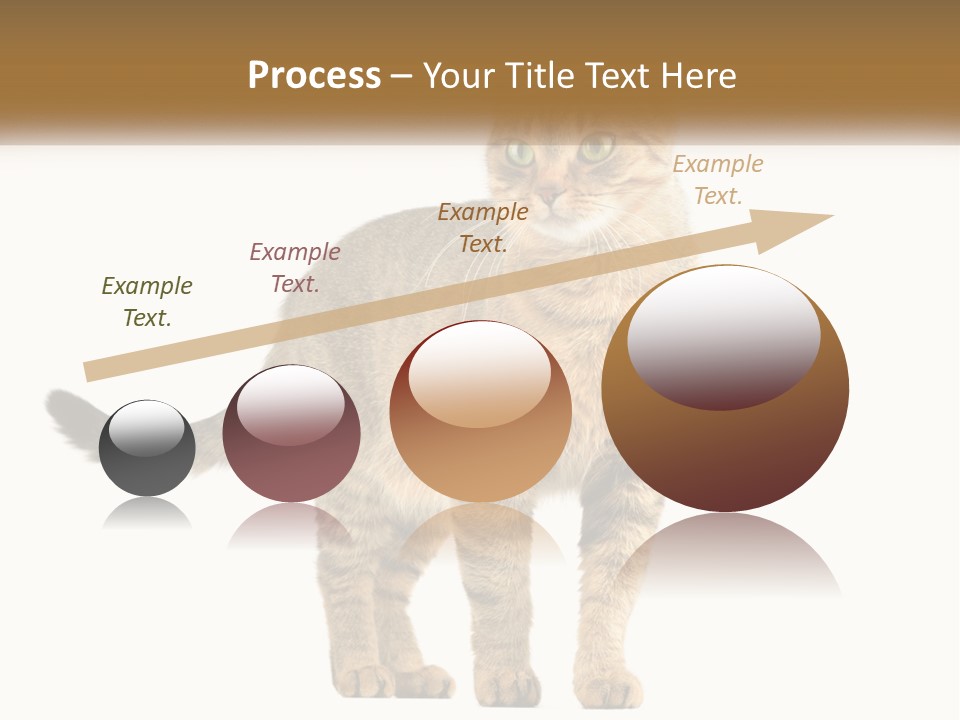 A Cat Standing On Top Of A White Surface PowerPoint Template