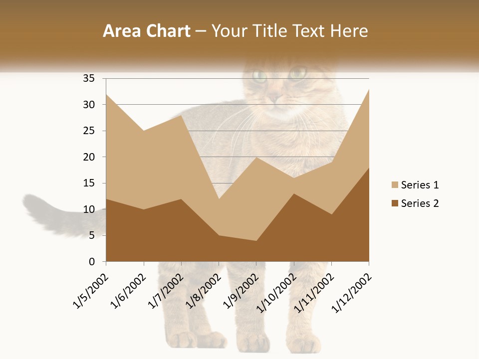 A Cat Standing On Top Of A White Surface PowerPoint Template