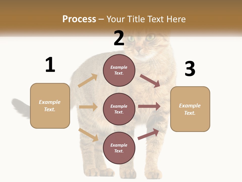 A Cat Standing On Top Of A White Surface PowerPoint Template