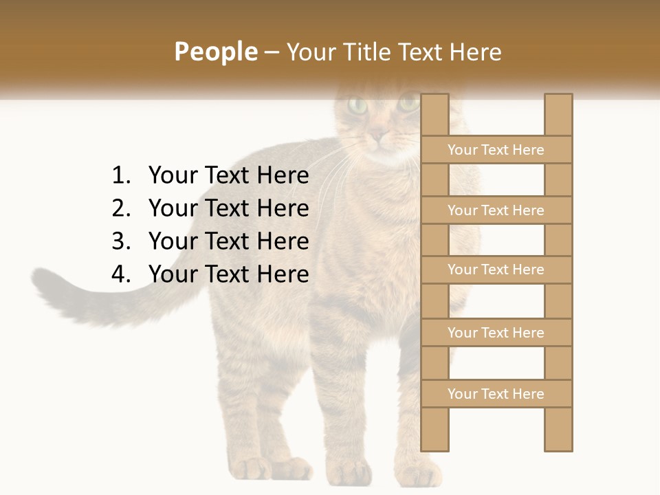 A Cat Standing On Top Of A White Surface PowerPoint Template