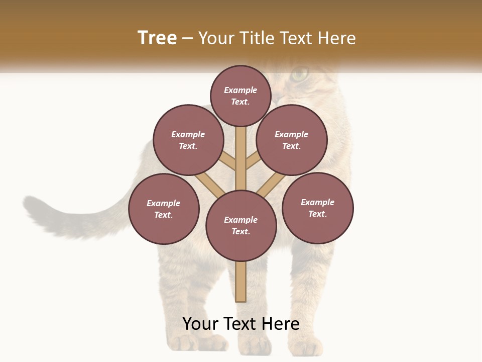 A Cat Standing On Top Of A White Surface PowerPoint Template