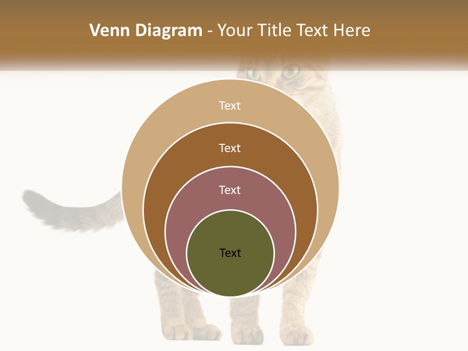 A Cat Standing On Top Of A White Surface PowerPoint Template