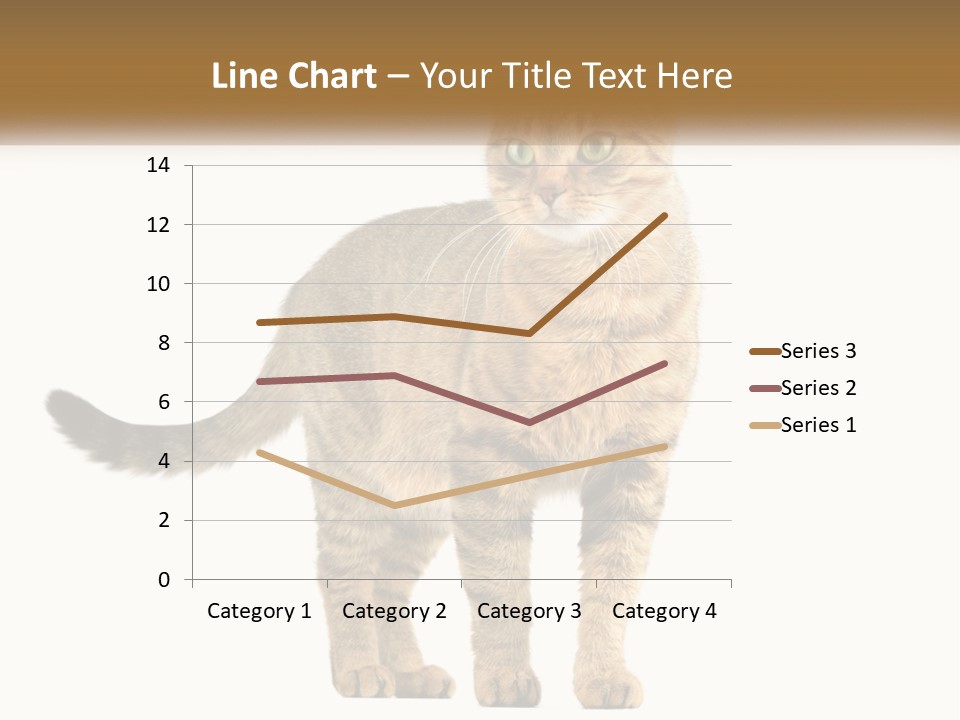A Cat Standing On Top Of A White Surface PowerPoint Template