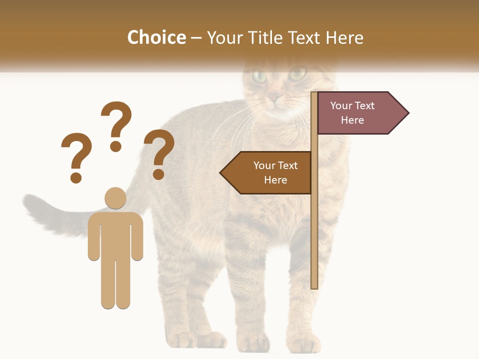 A Cat Standing On Top Of A White Surface PowerPoint Template