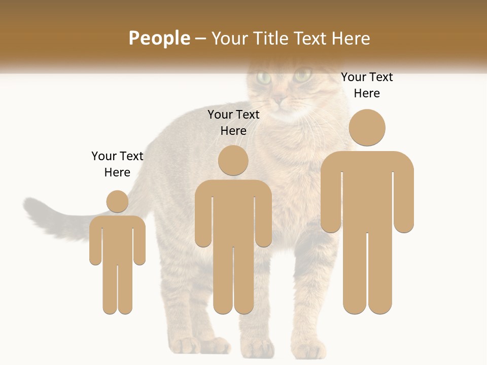 A Cat Standing On Top Of A White Surface PowerPoint Template