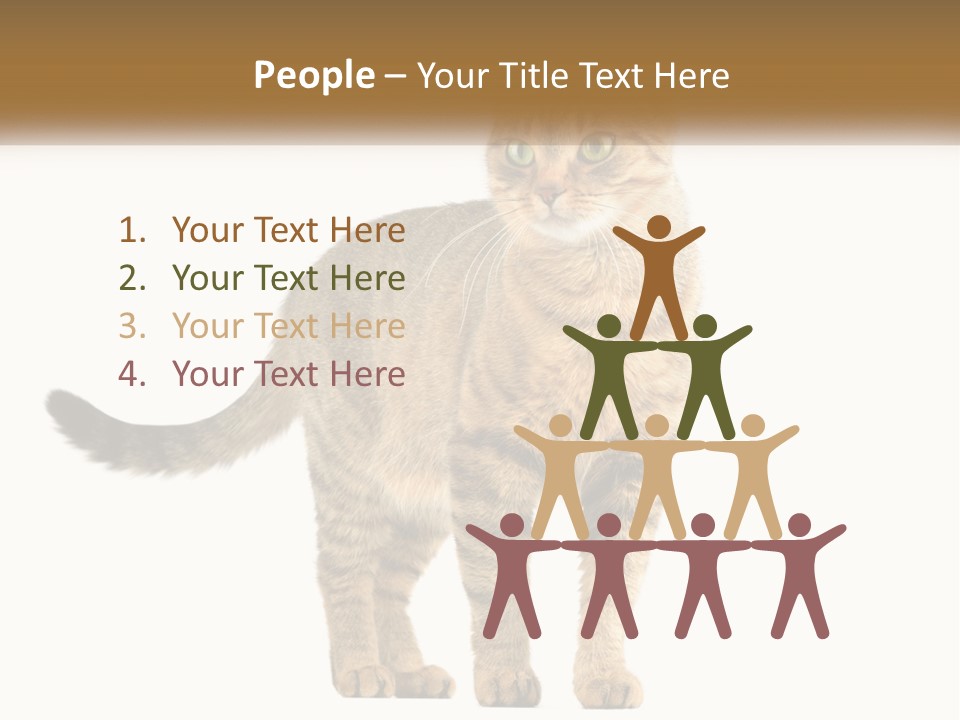 A Cat Standing On Top Of A White Surface PowerPoint Template
