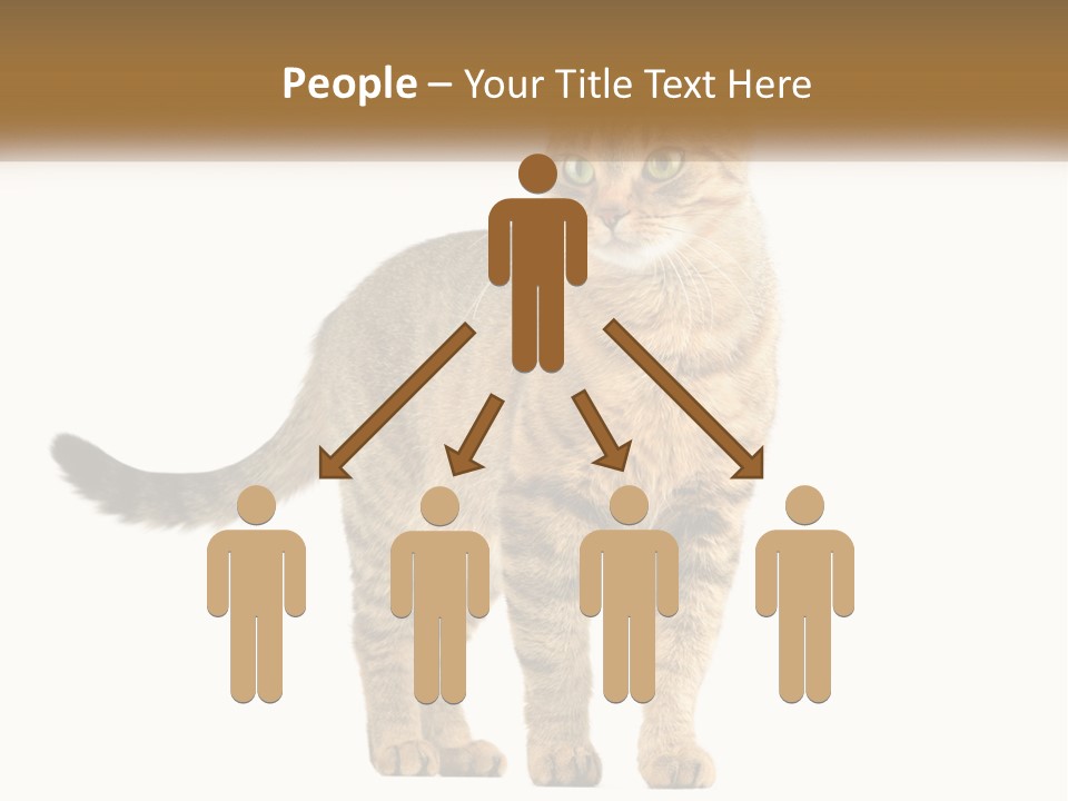 A Cat Standing On Top Of A White Surface PowerPoint Template