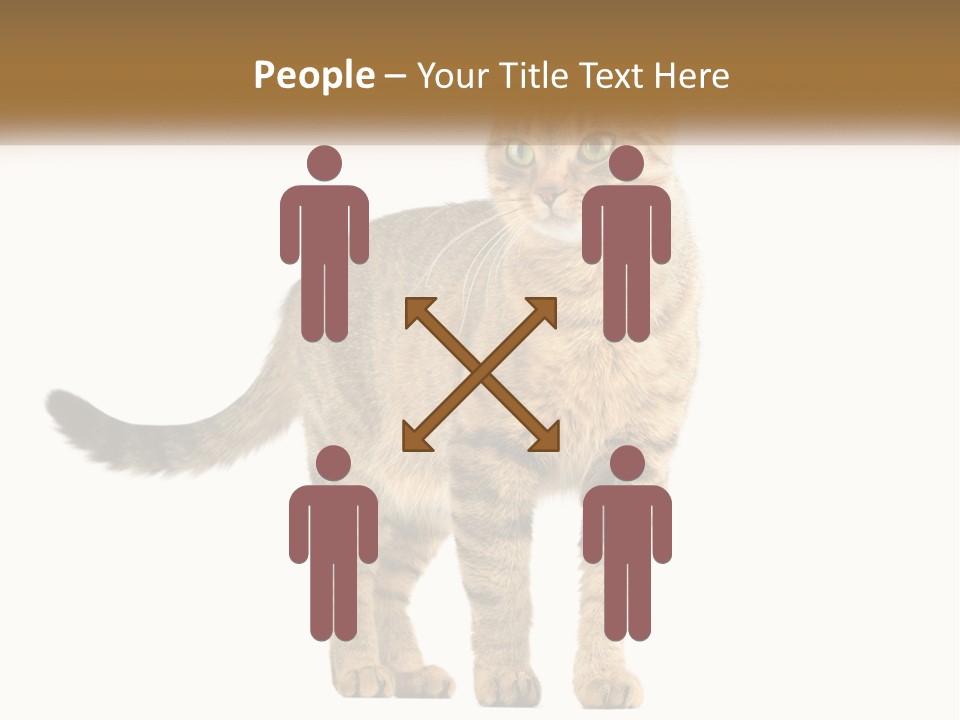 A Cat Standing On Top Of A White Surface PowerPoint Template