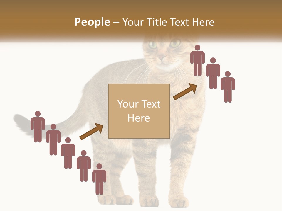 A Cat Standing On Top Of A White Surface PowerPoint Template
