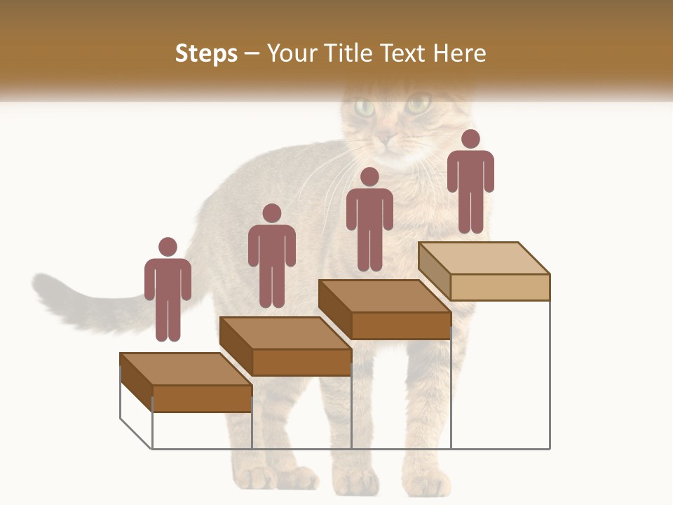 A Cat Standing On Top Of A White Surface PowerPoint Template