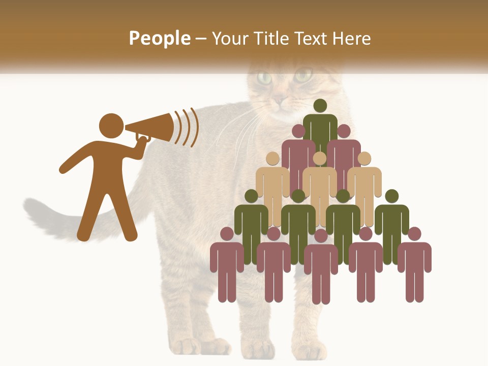 A Cat Standing On Top Of A White Surface PowerPoint Template