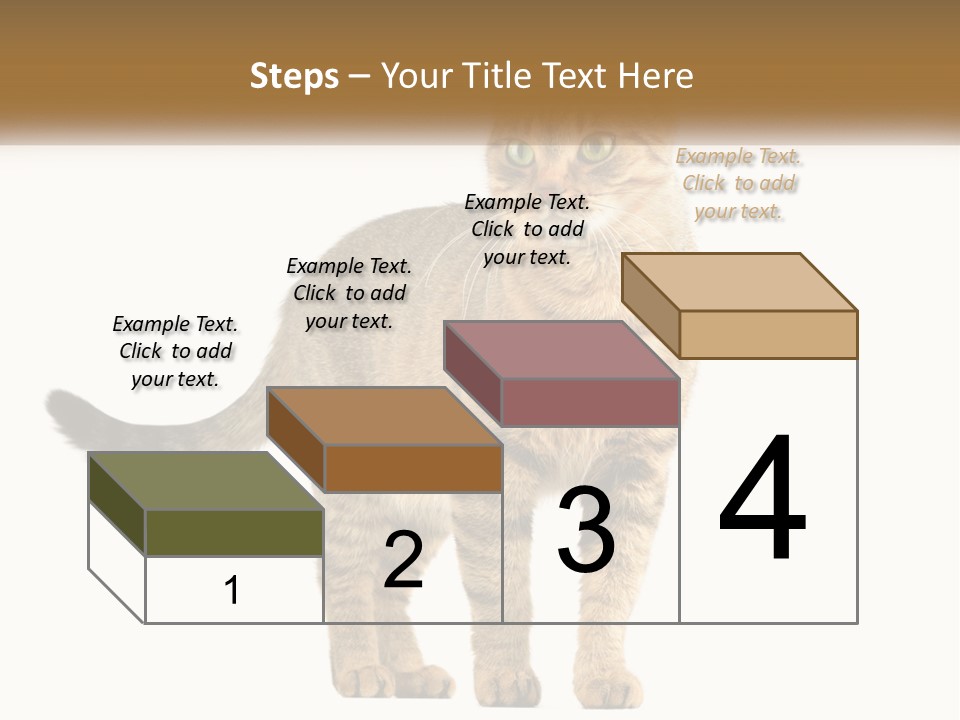 A Cat Standing On Top Of A White Surface PowerPoint Template