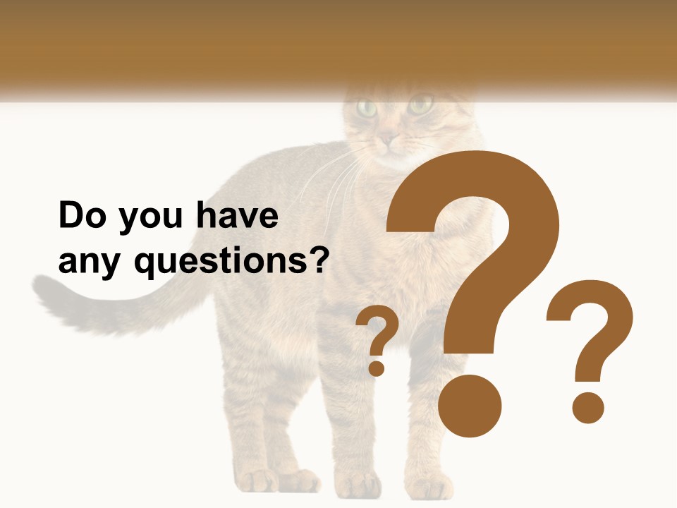 A Cat Standing On Top Of A White Surface PowerPoint Template
