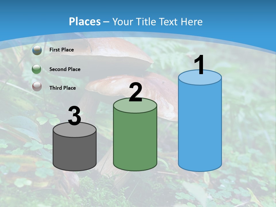 A Group Of Mushrooms In The Forest Powerpoint Template PowerPoint Template