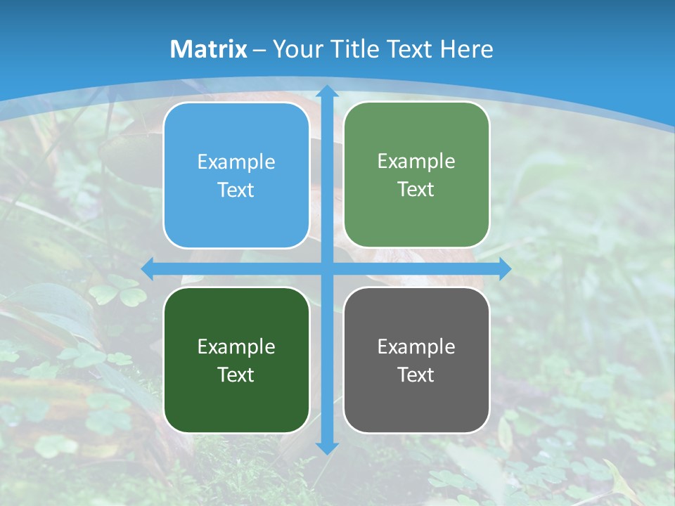 A Group Of Mushrooms In The Forest Powerpoint Template PowerPoint Template