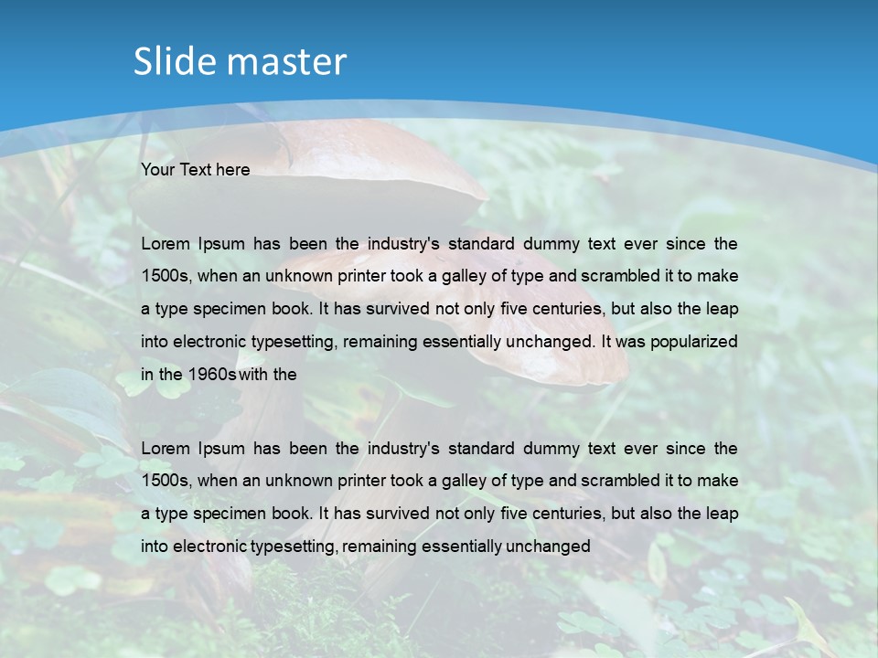 A Group Of Mushrooms In The Forest Powerpoint Template PowerPoint Template