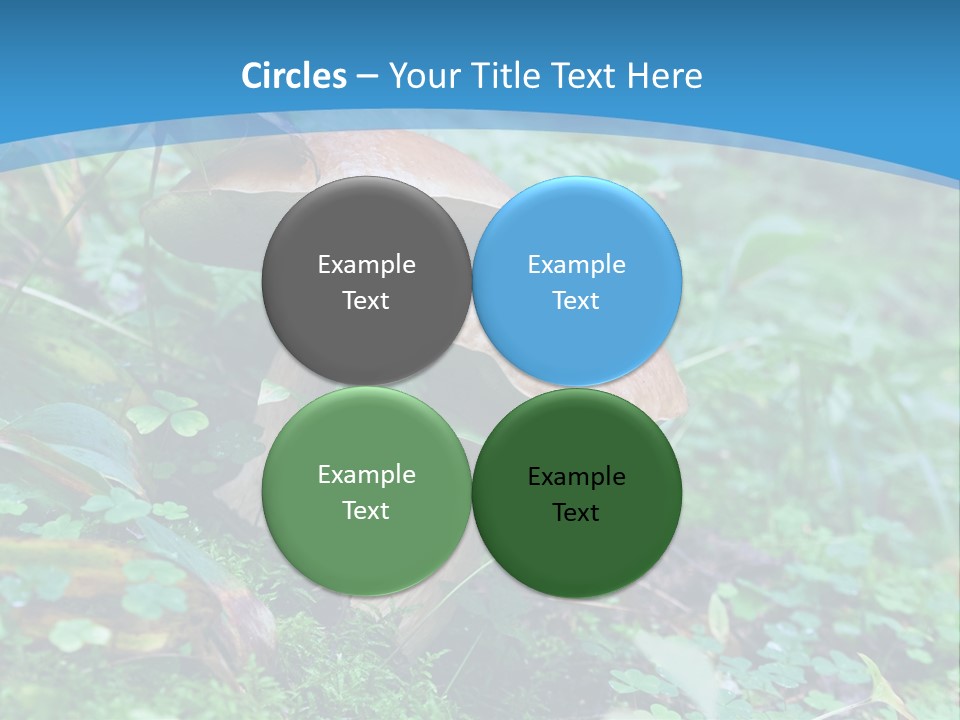 A Group Of Mushrooms In The Forest Powerpoint Template PowerPoint Template
