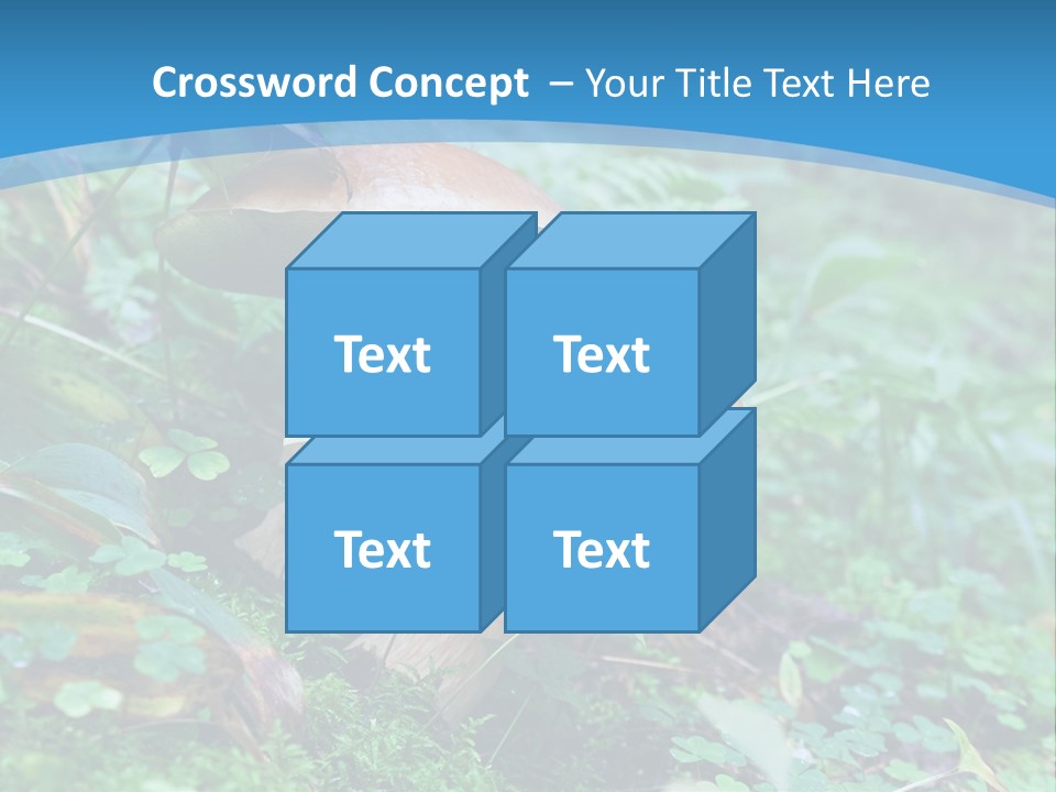A Group Of Mushrooms In The Forest Powerpoint Template PowerPoint Template